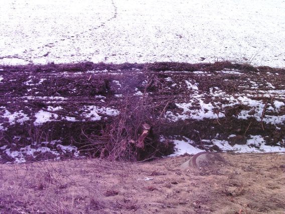  (Gr&ouml;&szlig;e ca. 124 kB)