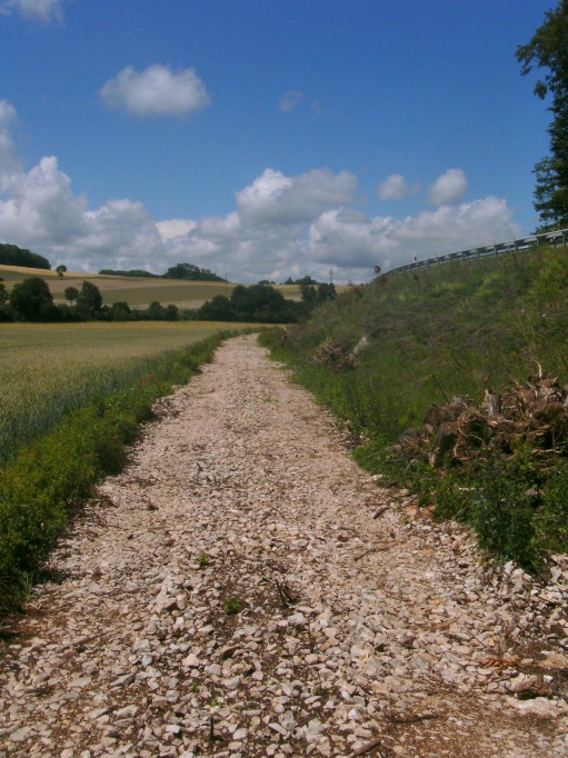  (Gr&ouml;&szlig;e ca. 131 kB)