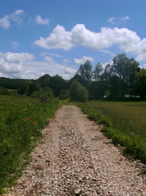  (Gr&ouml;&szlig;e ca. 147 kB)