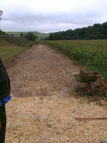  (Gr&ouml;&szlig;e ca. 50 kB)