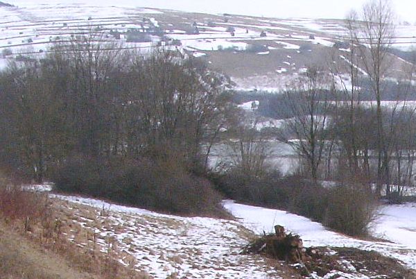  (Gr&ouml;&szlig;e ca. 61 kB)