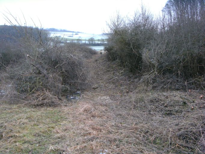  (Gr&ouml;&szlig;e ca. 90 kB)