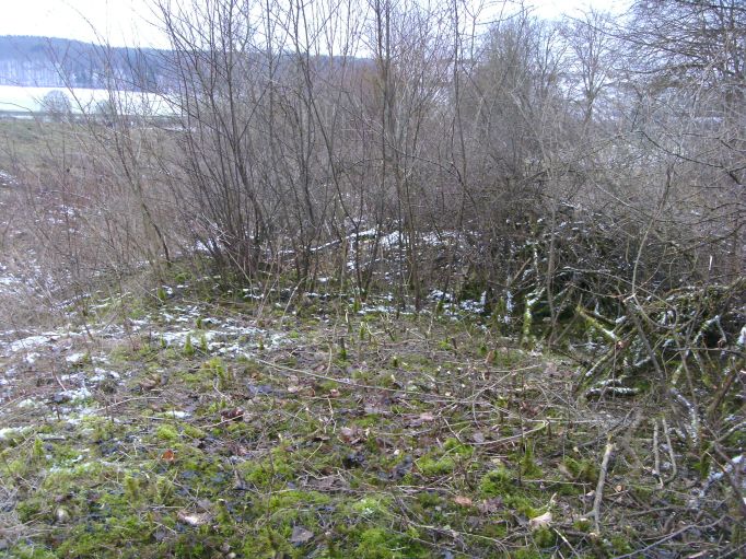  (Gr&ouml;&szlig;e ca. 120 kB)