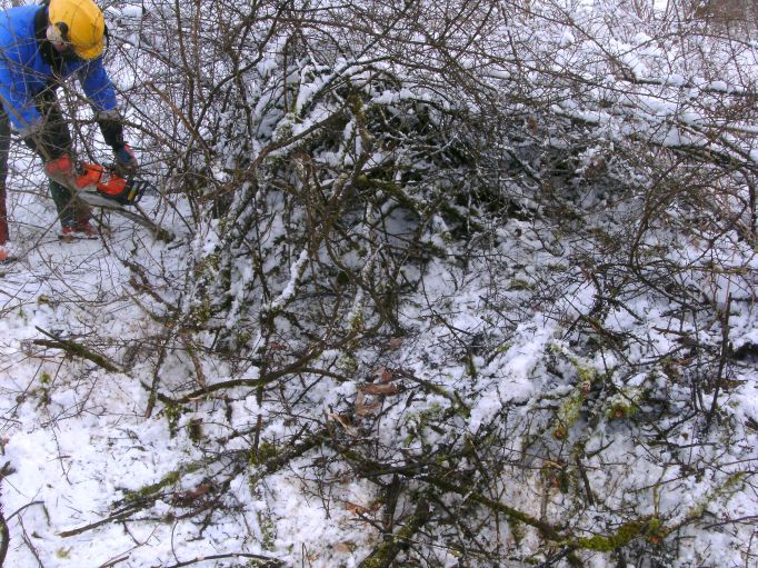  (Gr&ouml;&szlig;e ca. 136 kB)