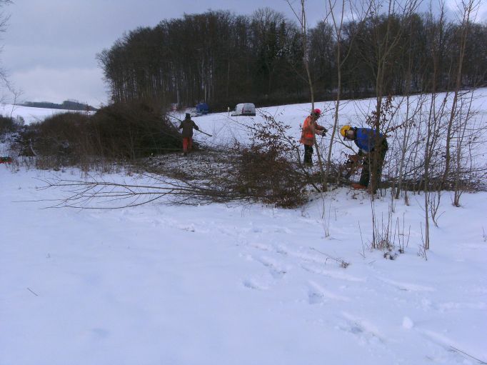  (Gr&ouml;&szlig;e ca. 56 kB)