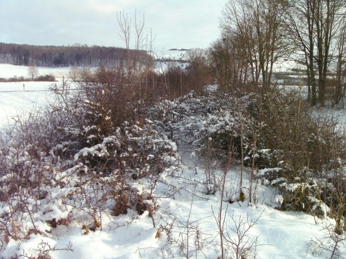  (Gr&ouml;&szlig;e ca. 103 kB)