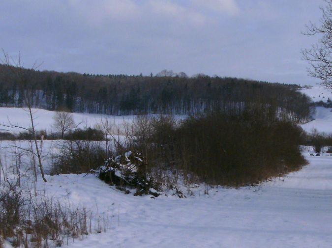  (Gr&ouml;&szlig;e ca. 45 kB)