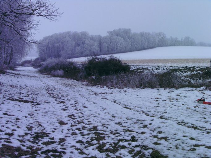  (Gr&ouml;&szlig;e ca. 74 kB)