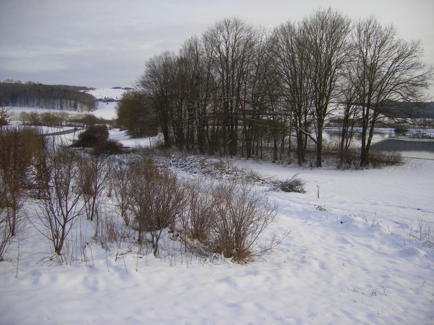  (Gr&ouml;&szlig;e ca. 114 kB)