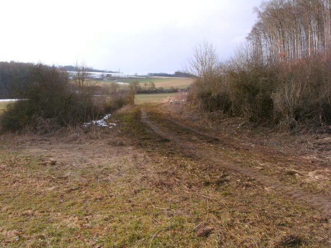  (Gr&ouml;&szlig;e ca. 77 kB)