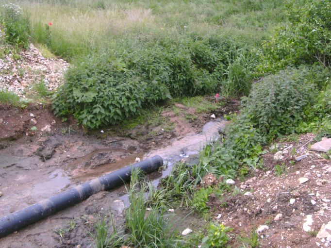 (Gr&ouml;&szlig;e ca. 93 kB)