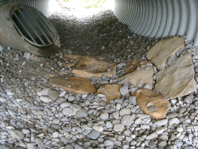 (Gr&ouml;&szlig;e ca. 85 kB)