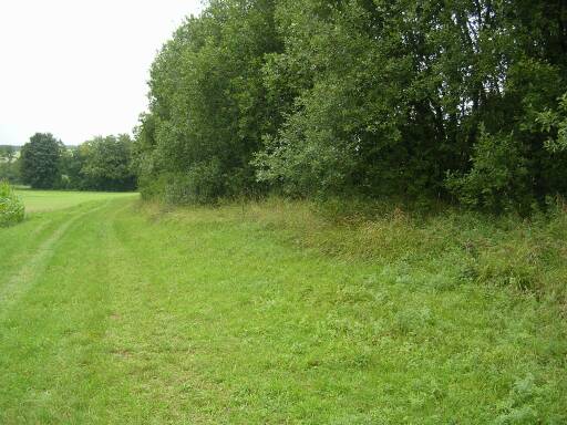 Trassenf&uuml;hrung Parkplatz H&auml;rtsfeldsee (Gr&ouml;&szlig;e ca. 40 kB)