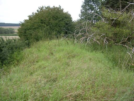 Vor B&Uuml; Dischingen (Gr&ouml;&szlig;e ca. 47 kB)