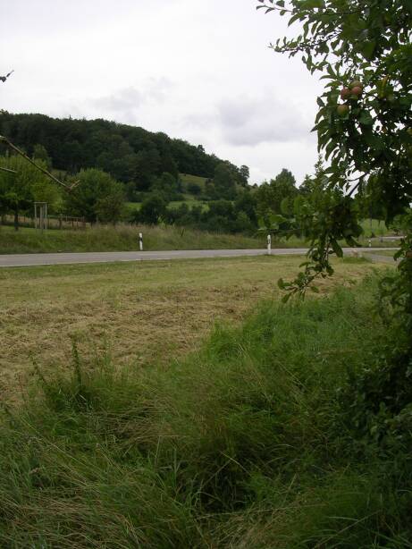 Vor B&Uuml; Dischingen(Gr&ouml;&szlig;e ca. 46 kB)