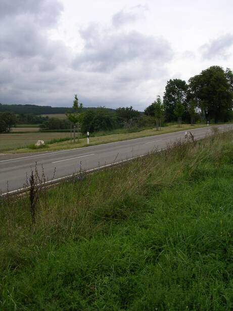 Nach B&Uuml; Dischingen(Gr&ouml;&szlig;e ca. 38 kB)