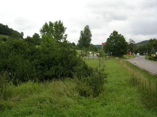 Vor Dischingen (Gr&ouml;&szlig;e ca. 31 kB)