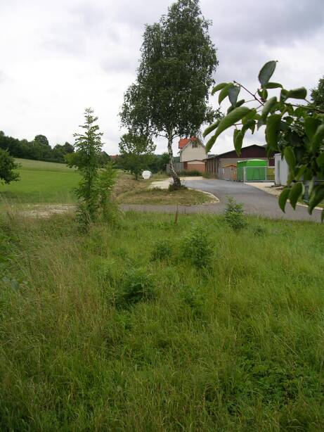 Einfahrweiche Dischingen (Gr&ouml;&szlig;e ca. 49 kB)