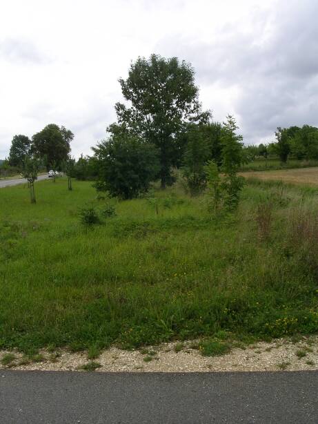 Einfahrweiche Dischingen (Gr&ouml;&szlig;e ca. 41 kB)