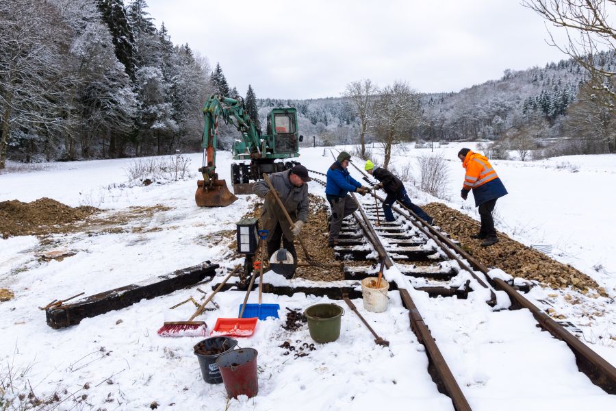 Schwellenwechsel Zungenbereich (100Kb)