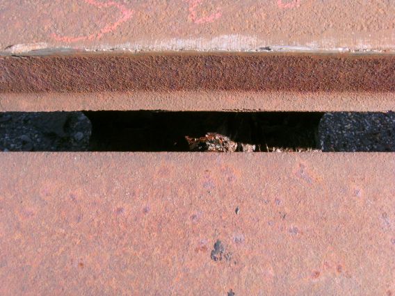 (Gr&ouml;&szlig;e ca. 56 kb)